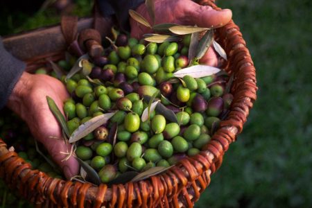 Farming & Outdoor Cooking